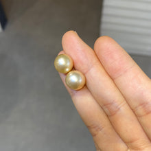 Load image into Gallery viewer, South Sea Gold Pearl 18K Earrings